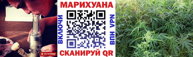 гидра как зайти Дигора Каннабис семена
